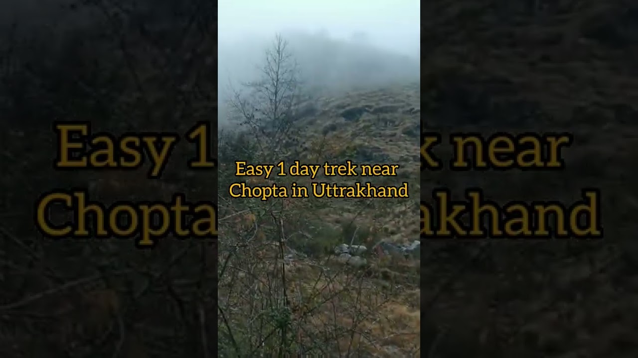 Deoria tal trek | 1 day trek in Uttrakhand | Best trek for beginners |