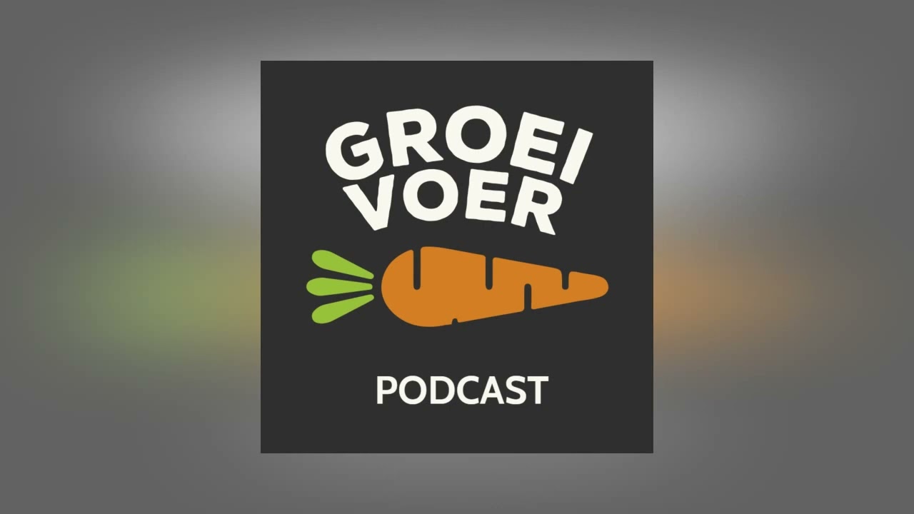 #185, GROEISNACK - Derk Bothe, auteur van 'IK BEN GEWELDIG al denk ik van niet' - over angsten, je