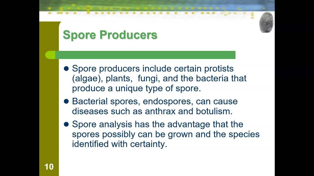 Plants, Pollen, and Spores