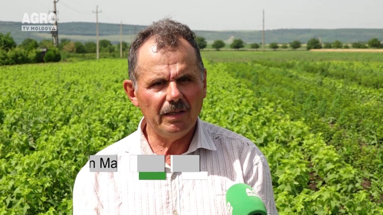 Valerian Malai, s.Negureni, Telenești, 26.06.2016