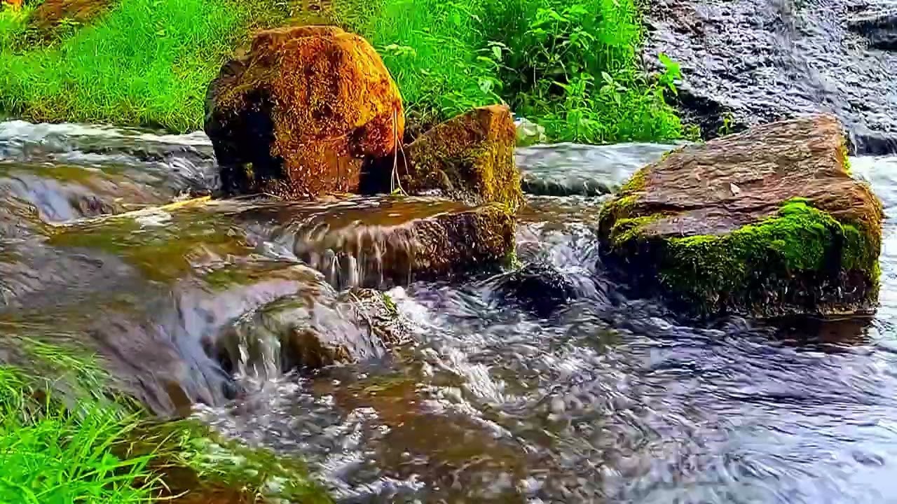 Immerse yourself deeply in meditation.....sounds of nature