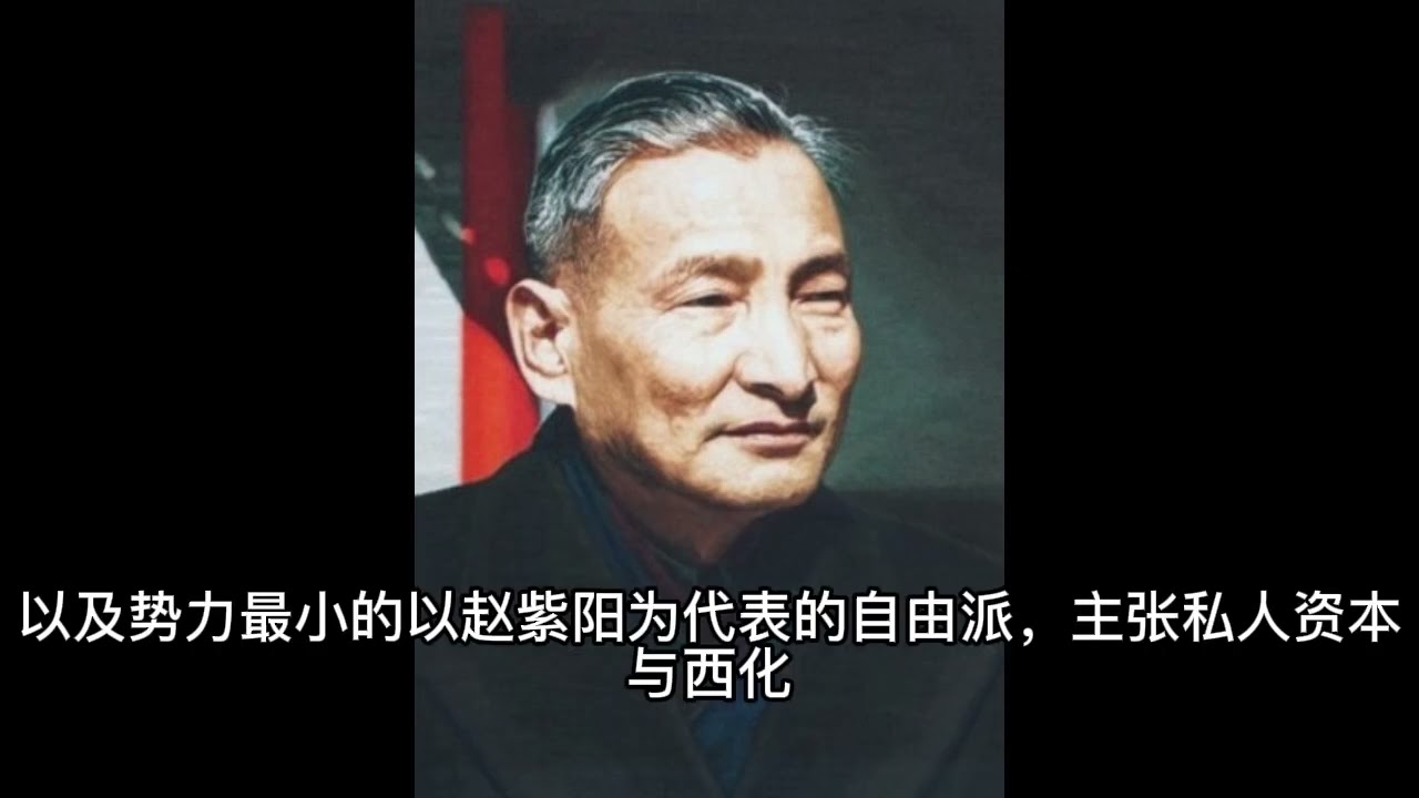 [稻百科]陈云鸟笼经济及其简略批判