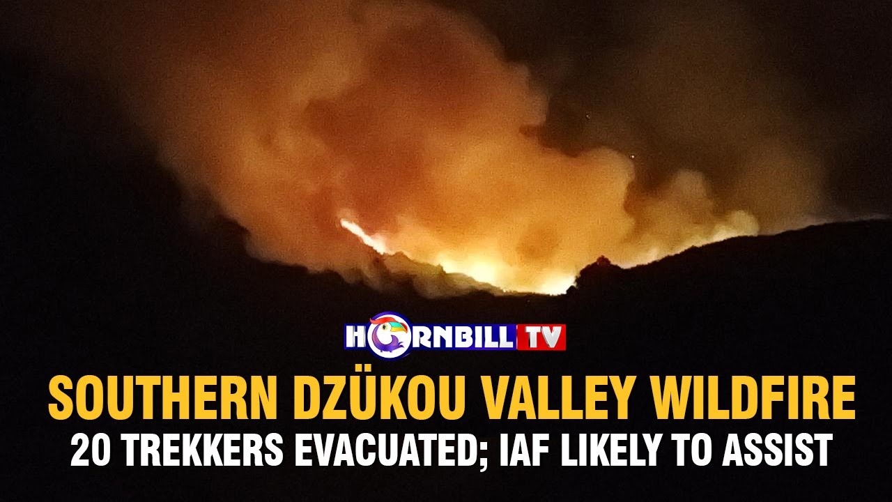 SOUTHERN DZÜKOU VALLEY WILDFIRE: 20 TREKKERS EVACUATED; IAF LIKEY TO ASSIST