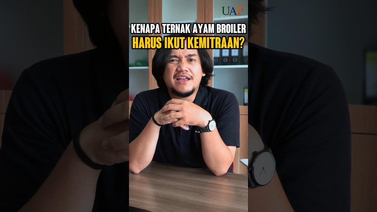 KENAPA TERNAK AYAM BROILER HARUS IKUT KEMITRAAN? PART 1