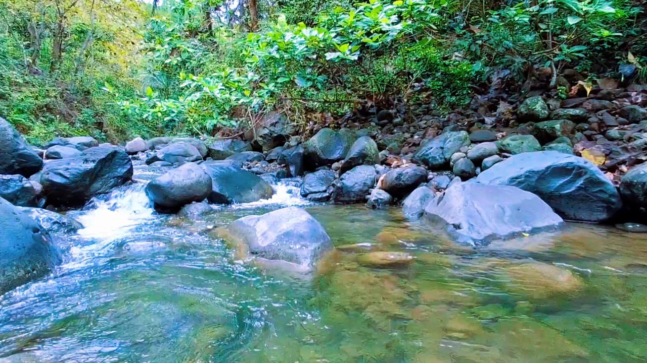 Calm Mountain River for Stress Relief