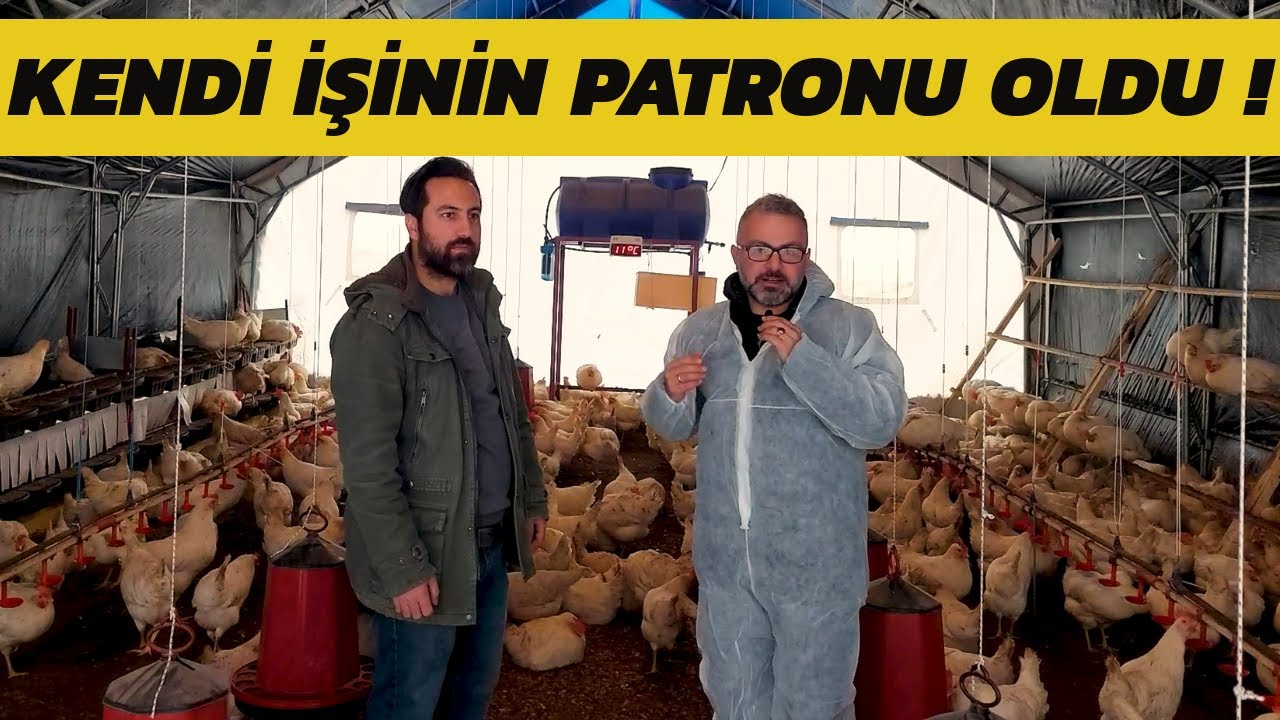 KASTAMONU'DA SIFIRDAN 530 KAPASİTE GEZEN TAVUK ÇİFTLİĞİ KURDU İSTANBUL'A BİLE YUMURTA SATIYOR !