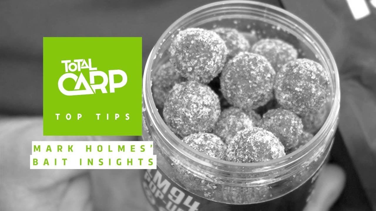 Mark Holmes' Bait Insights