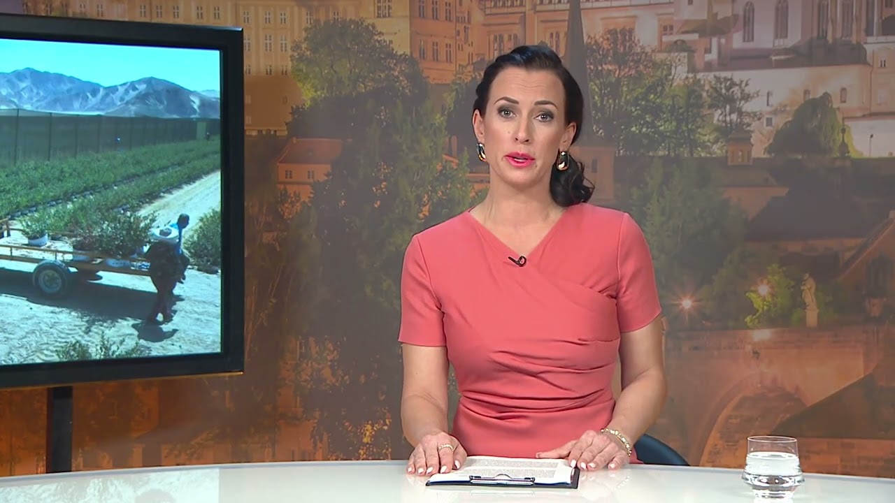 Na&scaron;e zpr&aacute;vy (2026/33)