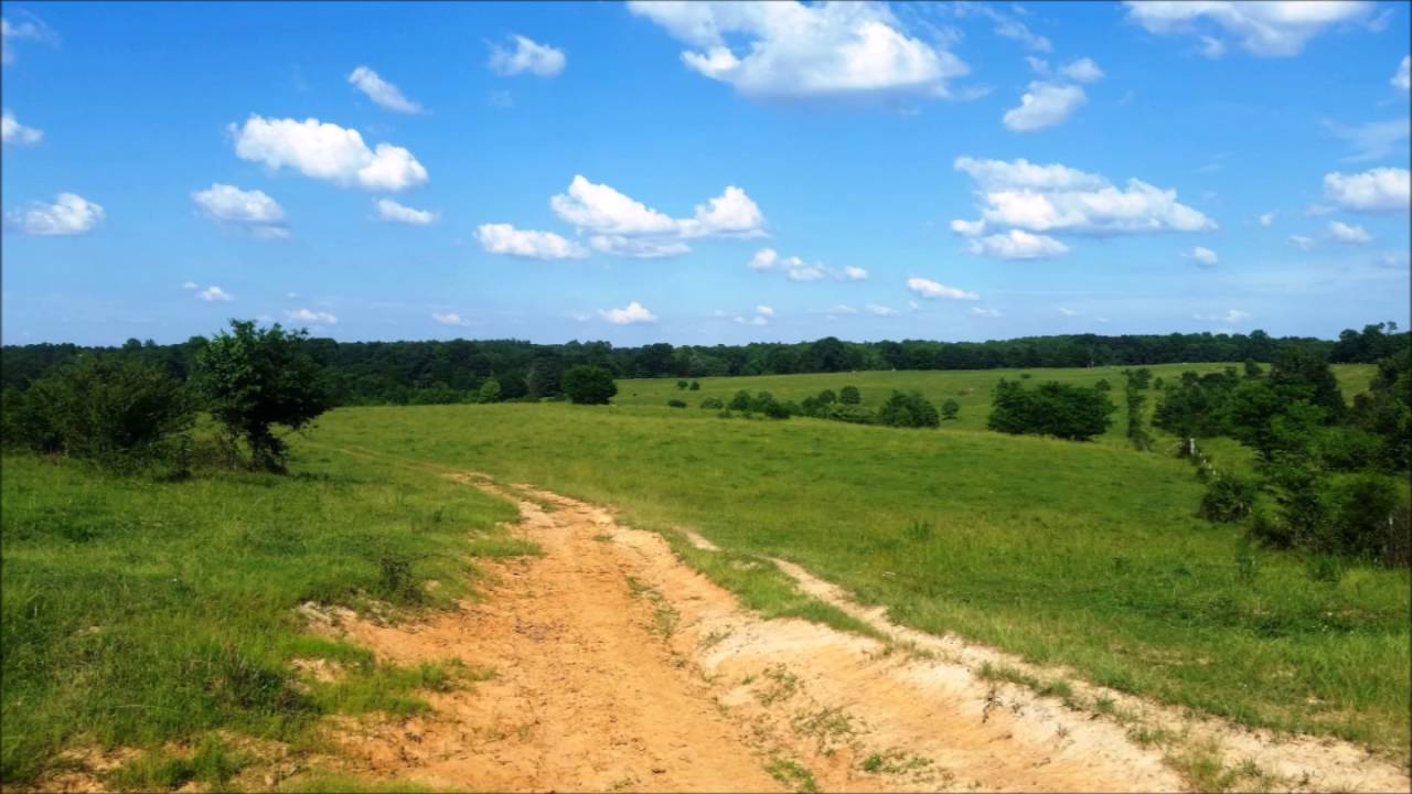 800 Acre Cattle Farm for Sale in Carroll County, TN $1,550,000 MLS 1735240