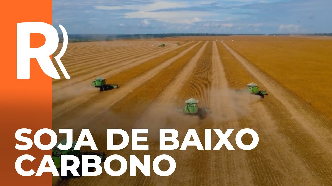 Embrapa certifica soja de baixo carbono em propriedades do Paran&aacute;