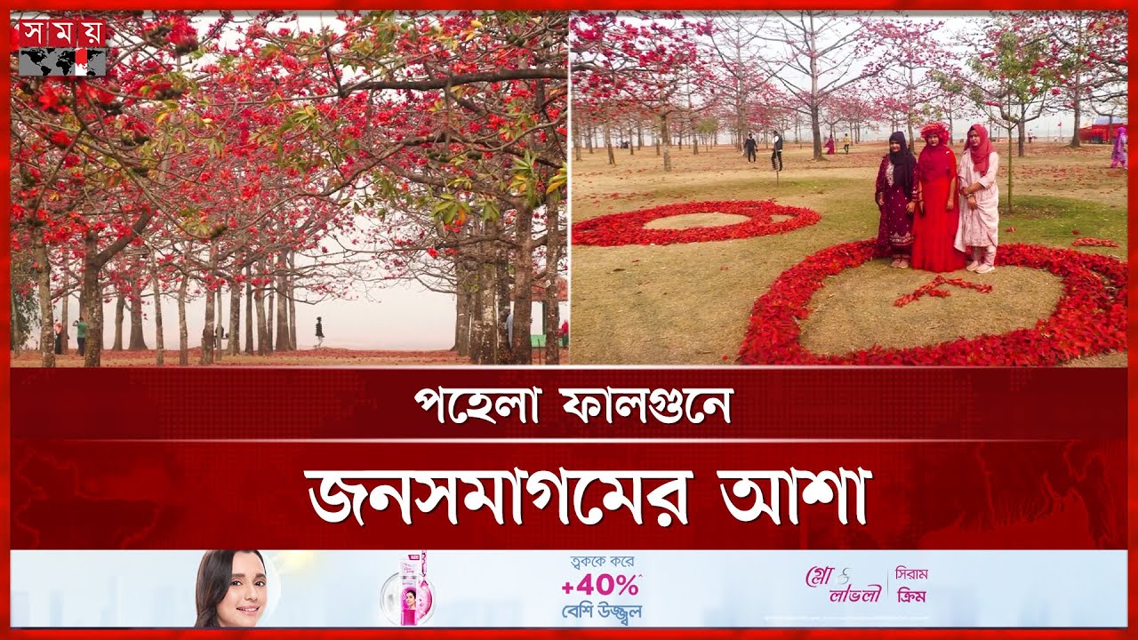 সুনামগঞ্জের শিমুল বাগানে বসন্ত এসে গেছে | Spring Season | Shimul Flower Garden | Sunamganj |Somoy TV