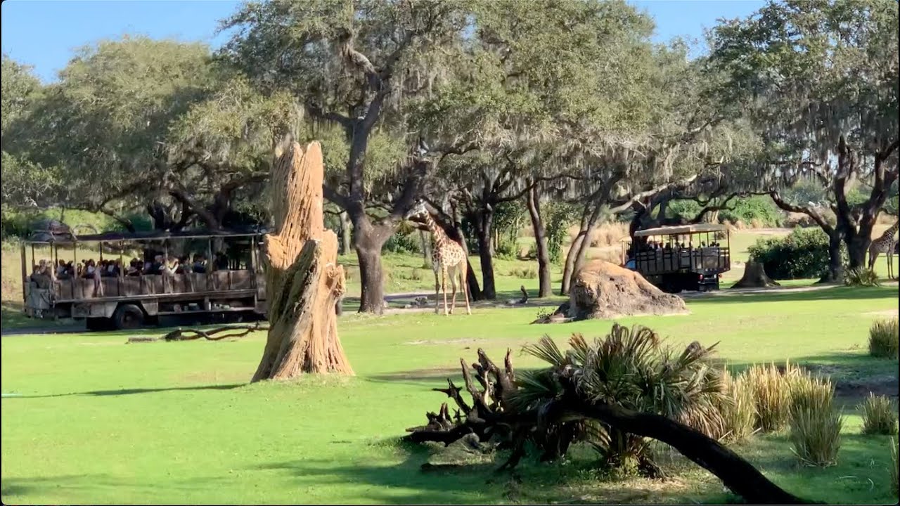 Visiting Disney's Animal Kingdom Theme Park at Dec. 25 2025