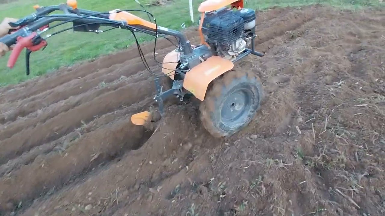 O'mac motor cultivator makes rows for potatoes #motocultor #farming #agriculture #tiller_video