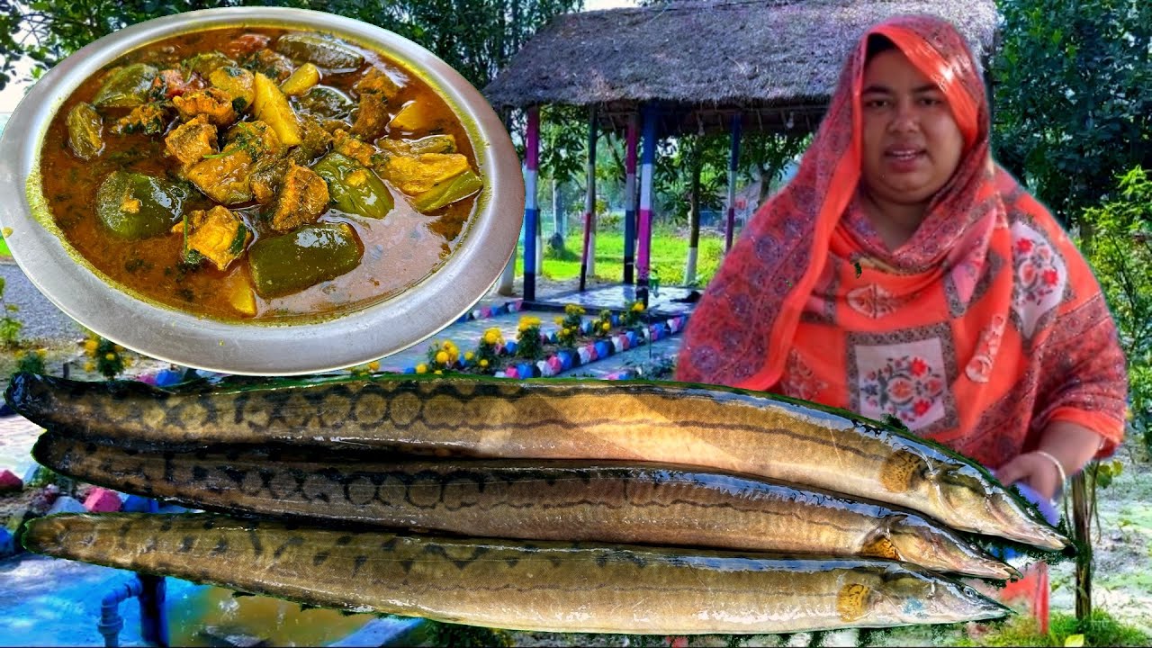 বড় বড় বাইন বাউস মাছ আলু টমেটো বেগুন দিয়ে রান্না | Big Bain Baus Fish Curry | Village Cooking