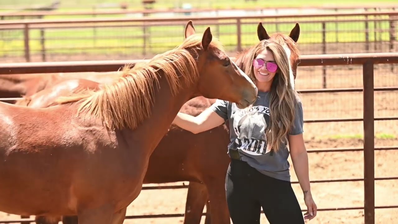 Flomazing Grace 2024 Aqha Filly