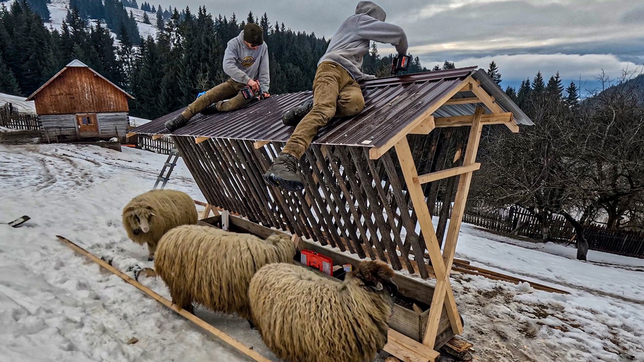 DIY hay feeder: zero waste, maximum efficiency | Life in the Carpathian Mountains