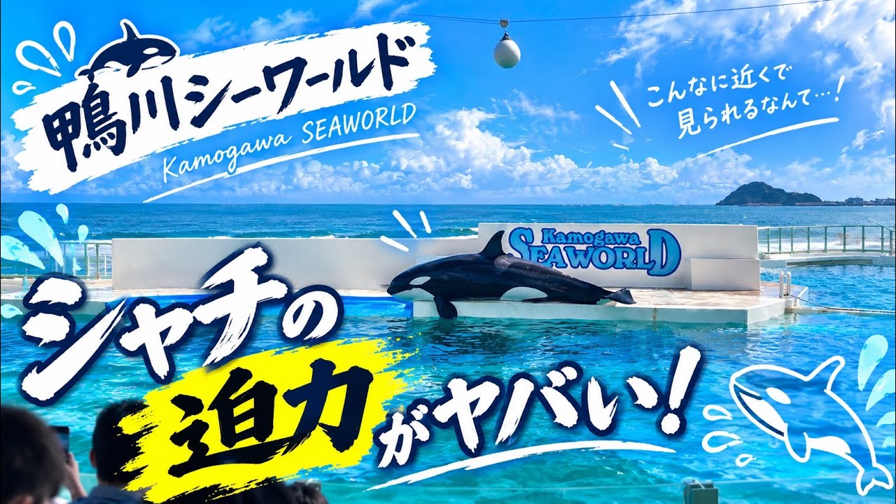 2025年8月12日　鴨川シーワールド　シャチ　ショー　パフォーマンス　FULL