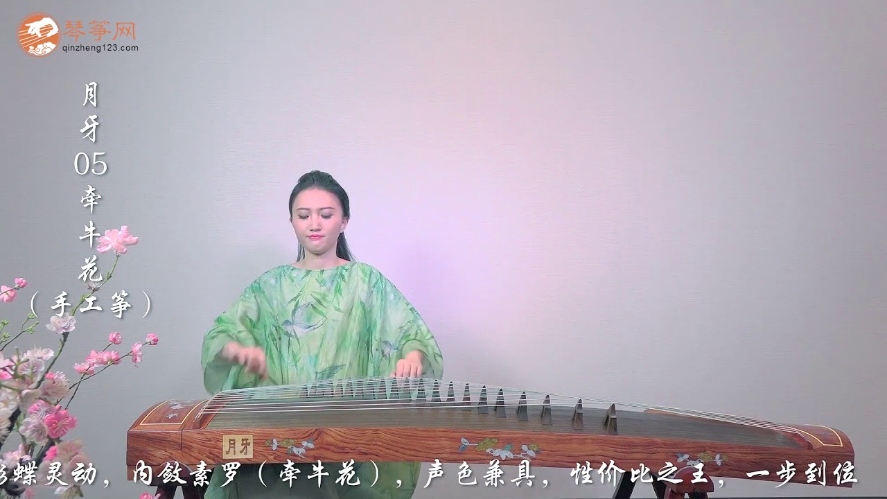 Tình nhi nữ - guzheng《女儿情》-古筝