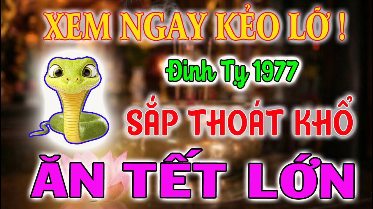 Xem Ngay Vận Mệnh Tuổi Đinh Tỵ 1977: Ai Có 8 Điềm Này Là Trời Mở Phước, Thoát Khổ Đau