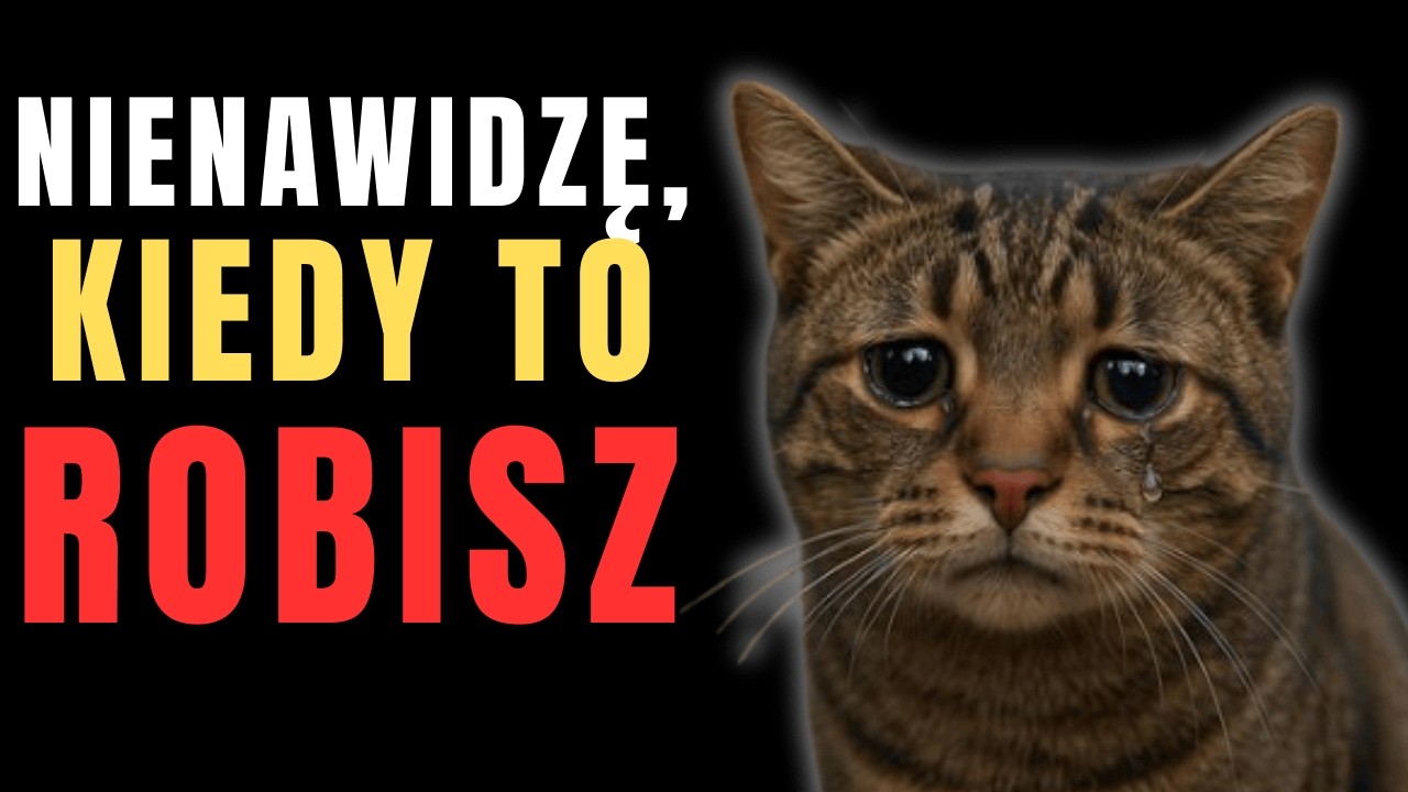 10 Codziennych Rzeczy, Które Ranią Twojego Kota (Nawet Tego Nie Zauważasz)