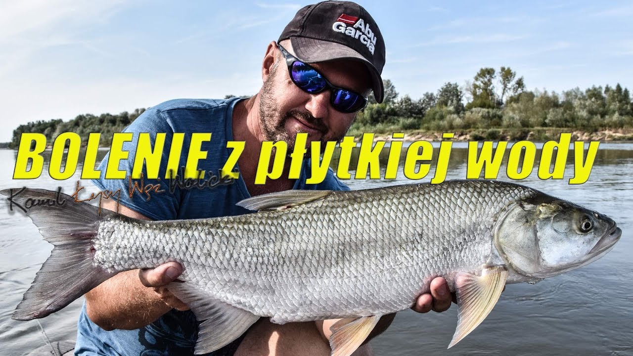 BOLENIE z płytkiej wody - WISŁA / odc.20