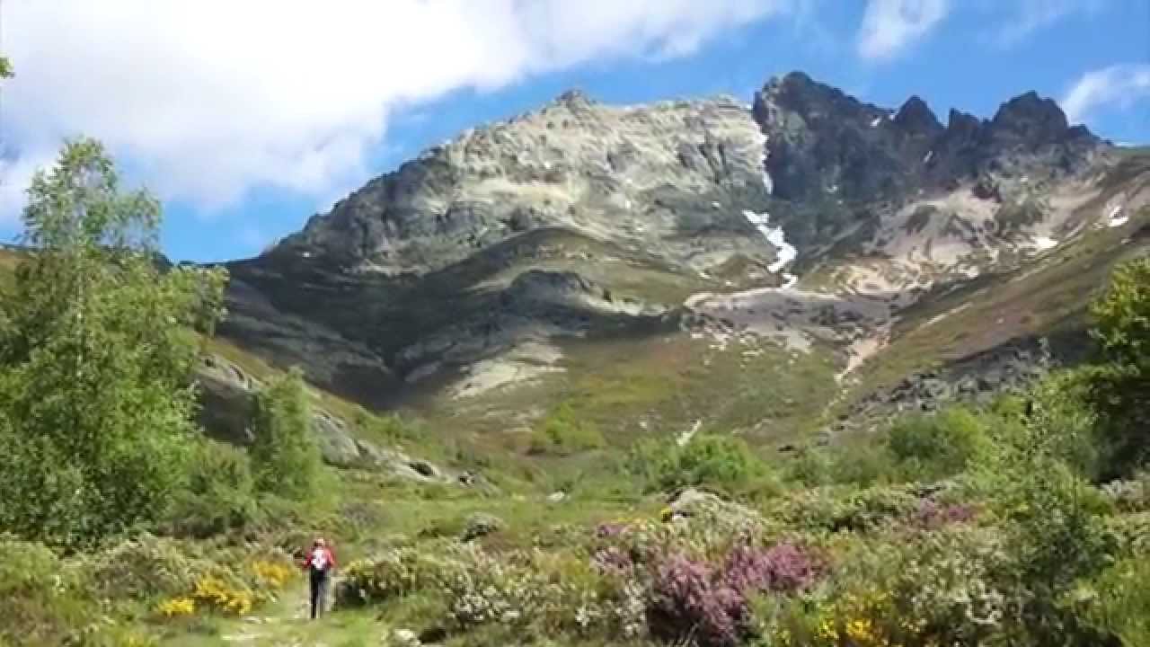 CURAVACAS