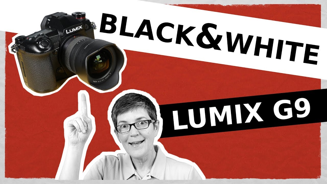 Черно-белый режим Panasonic Lumix G9 GX9 GH5: Монохромный