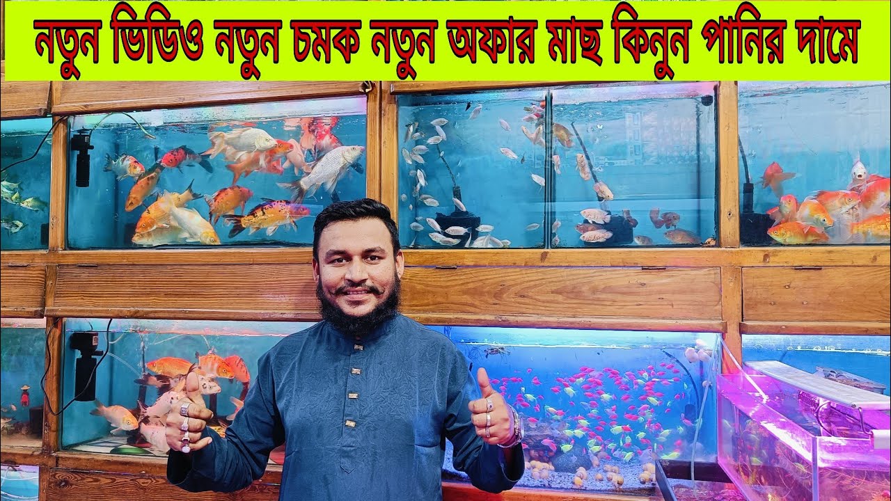 Aquarium Fish Price In katabon 2025|🐠🐠 Aquarium Fish Price | Aquarium | AR Rahman aquarium🐠🐠