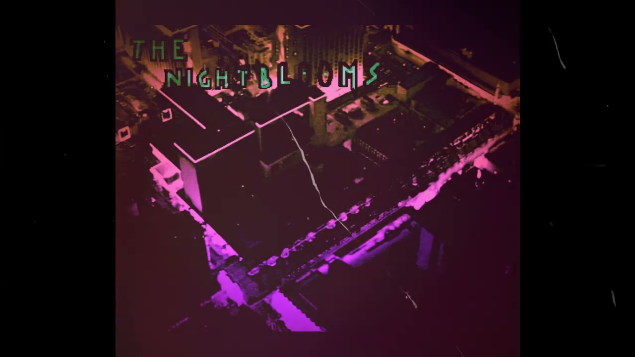 The Nightblooms - One Weak Moment