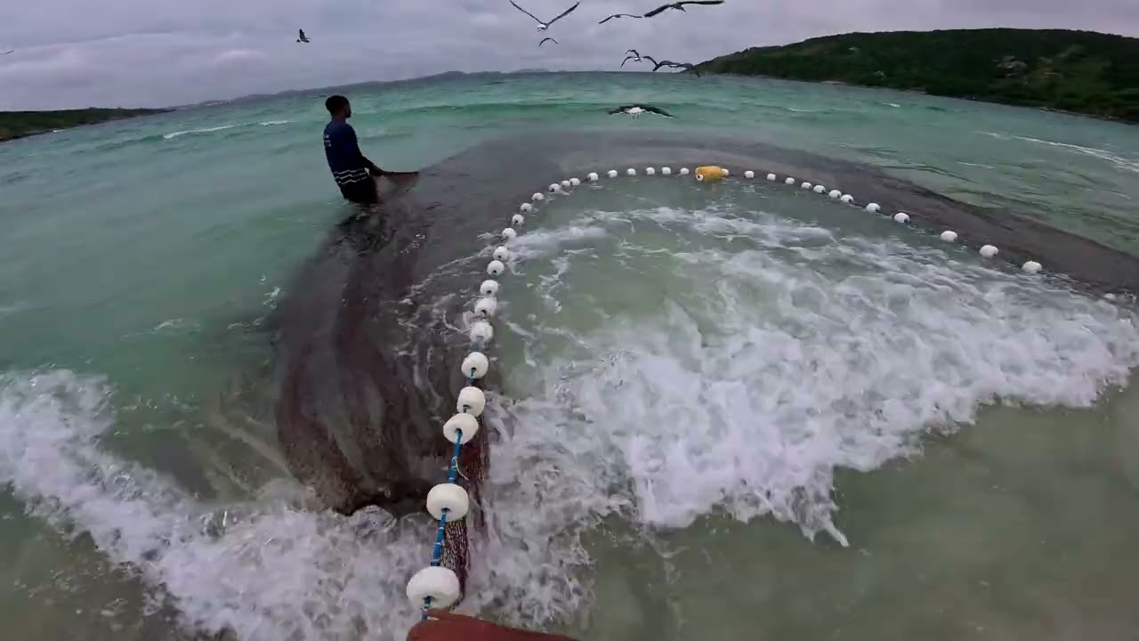 SERÁ QUE TEM PEIXE HOJE!