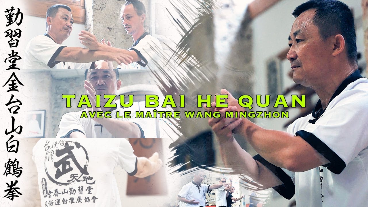 A LA DECOUVERTE DE LA GRUE BLANCHE de QIXITANG avec le Maître Wang Mingzhong - CDRAM RENCONTRE BUDO