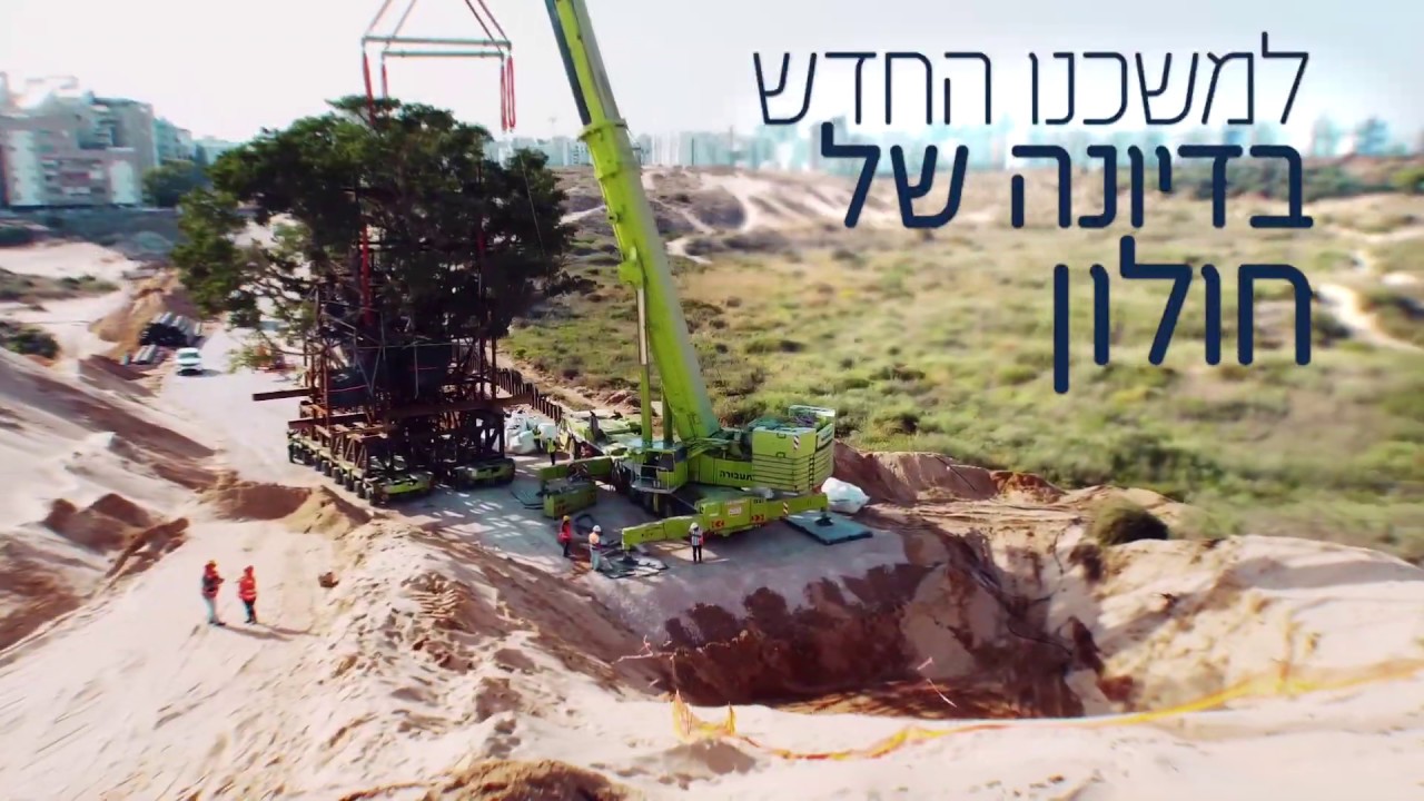 העתקת עץ השקמה בחולון