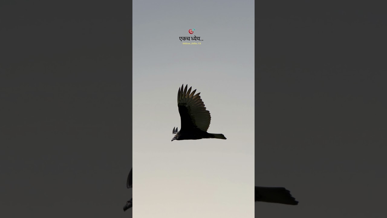 Marathi Motivational Status Video ❤️