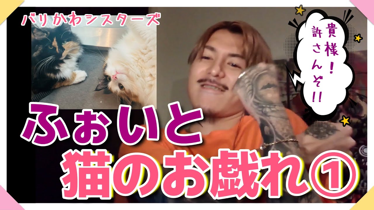 【DJふぉい】猫達のやんちゃっぷりにチョークスリーパーしそうになるふぉい。猫達が今日も可愛い【切り抜き】
