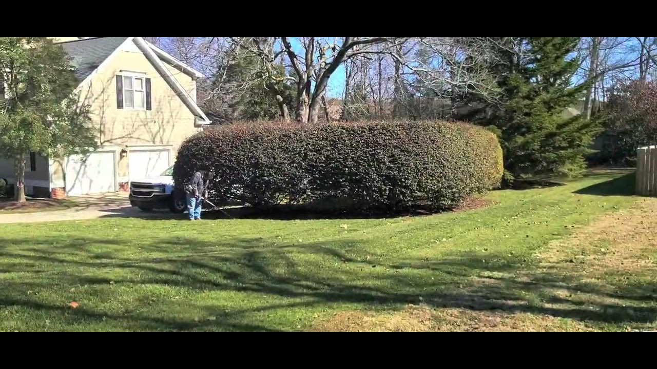 Landscapers weed cutting and blowing leaves
