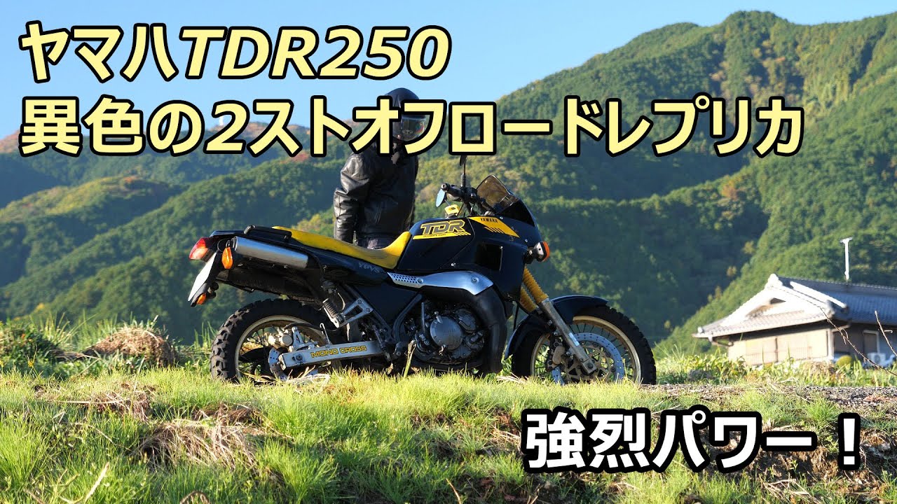 ヤマハTDR250 異色の2ストオフロードレプリカの走り。