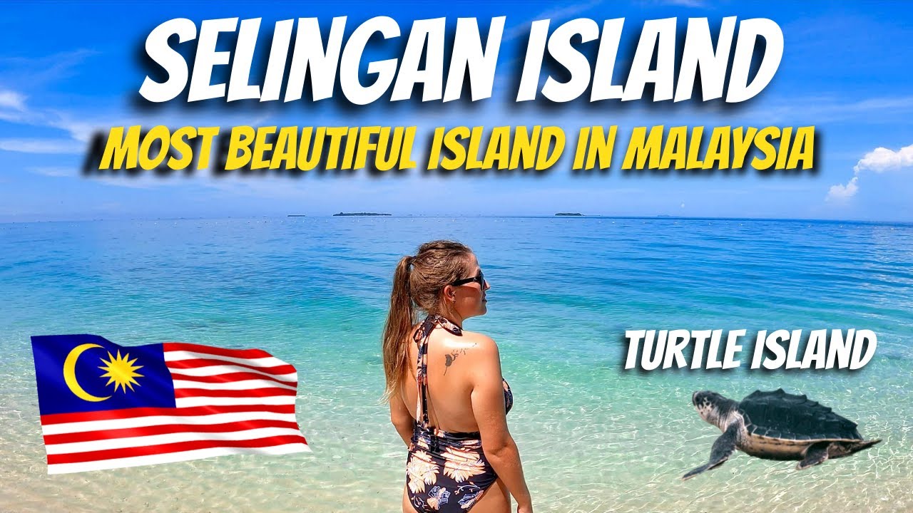 TURTLE ISLAND MALAYSIA 🇲🇾 Releasing BABY TURTLES on SELINGAN ISLAND in Malaysia