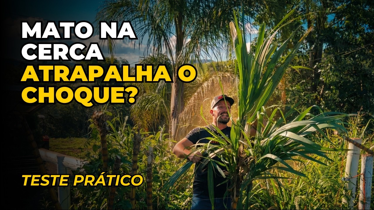 O erro que faz sua cerca elétrica perder choque