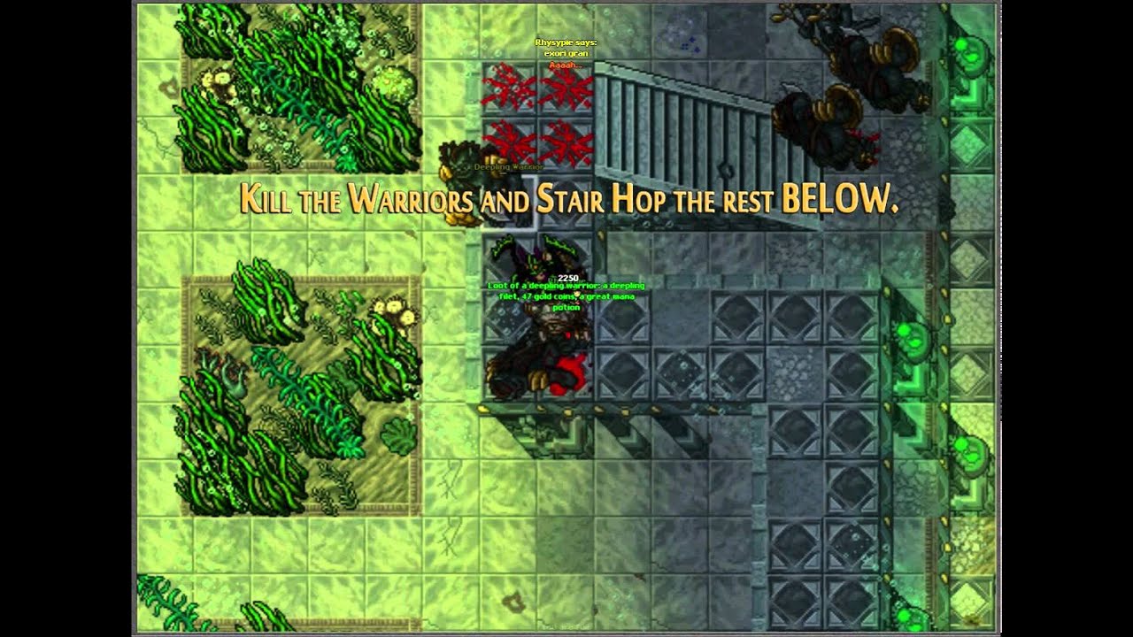 Rhysypie shows Safest Way to Deeplings' Treasure Room - Tibia