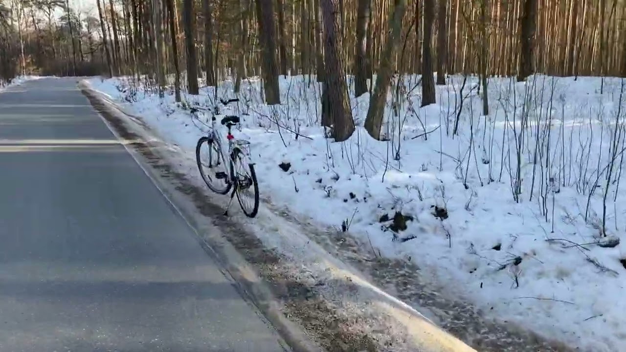 Piątkowiec - Grzybów 2.02.2026