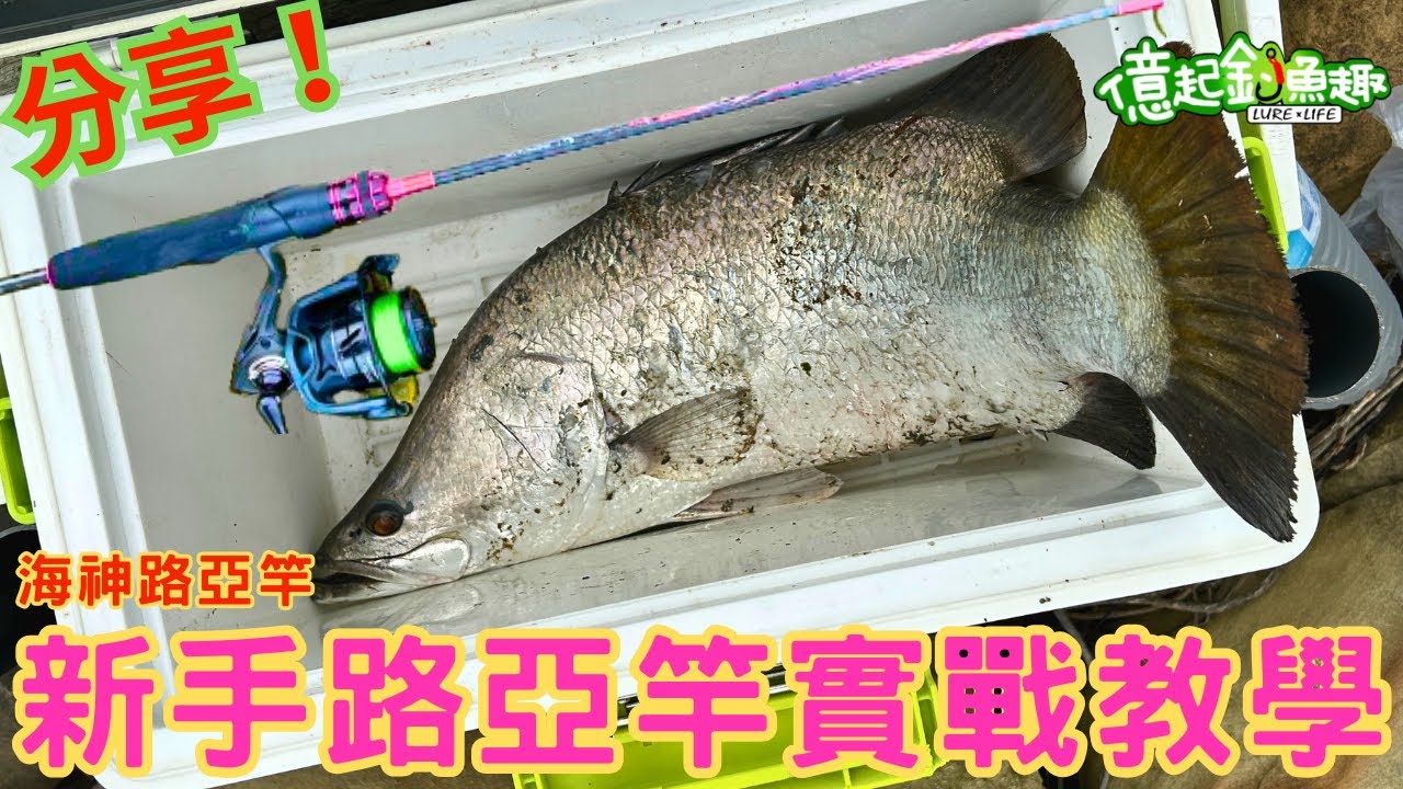 【億起釣魚趣】台南釣點｜台南路亞｜七股釣魚｜路亞釣點｜路亞根魚｜路亞軟餌｜路亞軟蟲｜軟蟲釣組｜軟蟲勾法｜路亞教學 ｜新手入門 #fishing  #lurefishing  #台南  #七股 #路亞