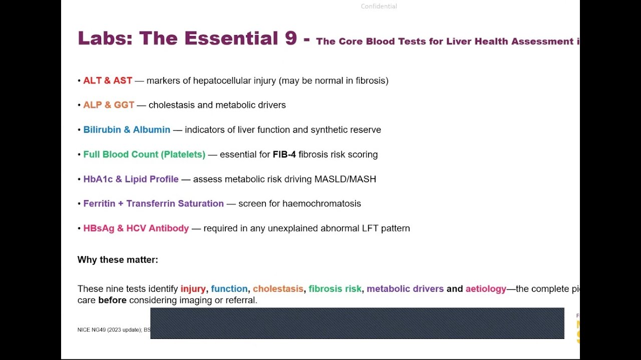Louise Campbell - plenary 3 - European Primary Care MASLD/MASH Summit