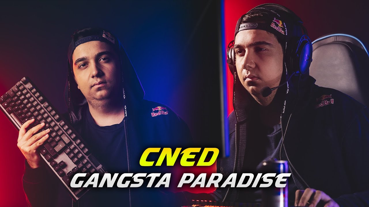 cNed - Gangsta's Paradise