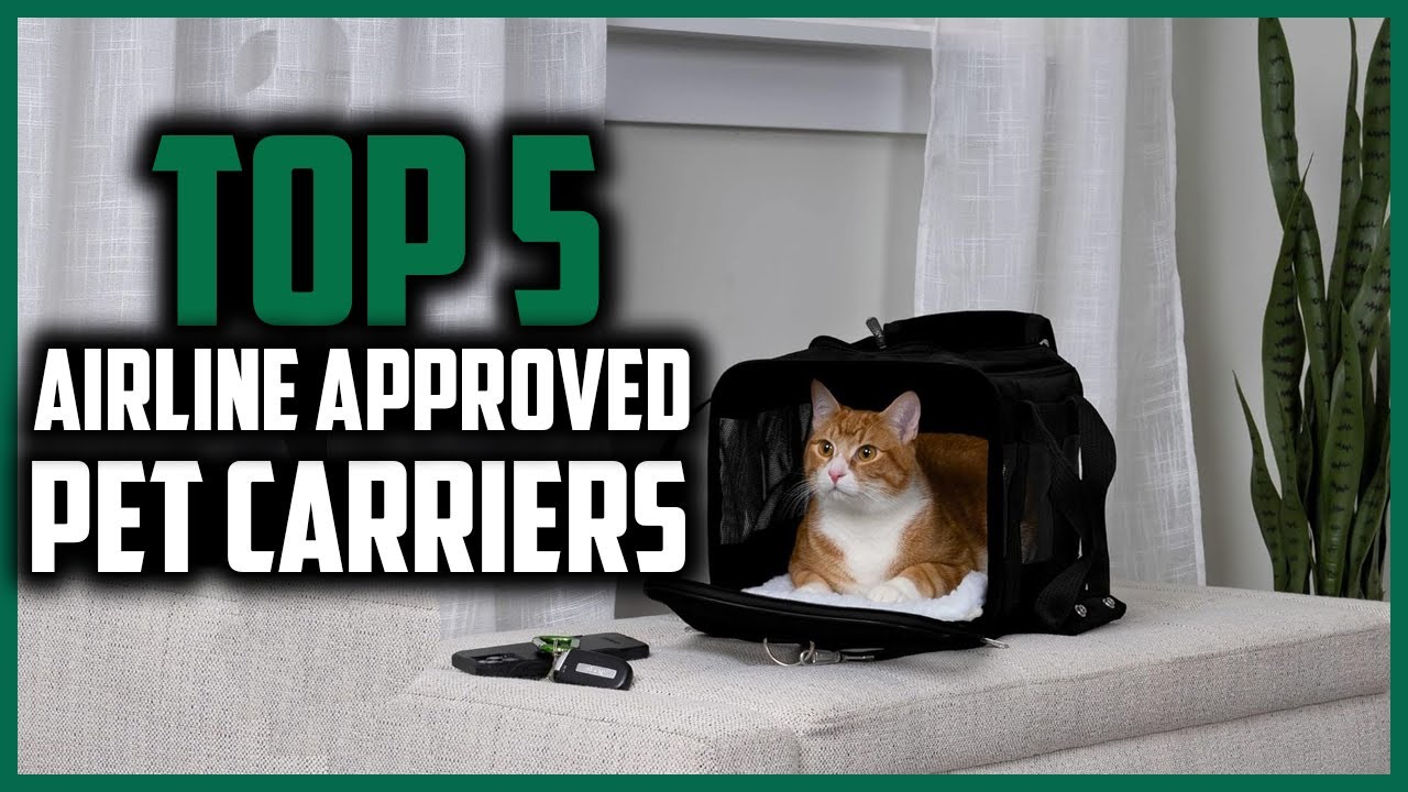 ✅Top 5 Best Airline Approved Pet Carriers 2024 Reviews