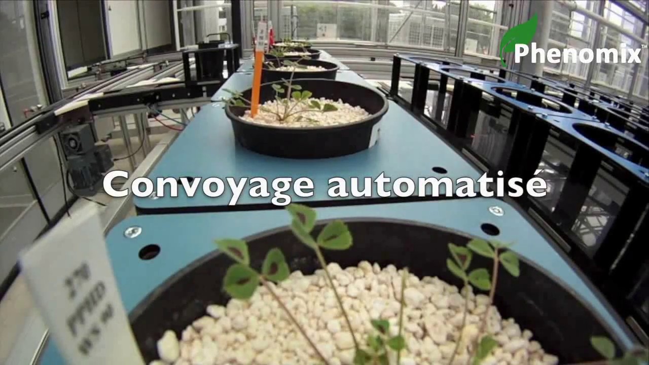 Phenomix High throughput plant phenotyping & Root phenotyping