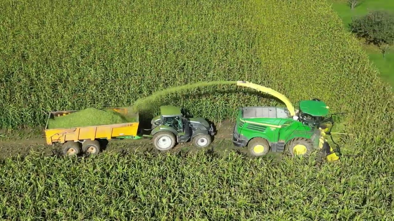 Ensilage maïs et sorgho  Hautes-Alpes  2024