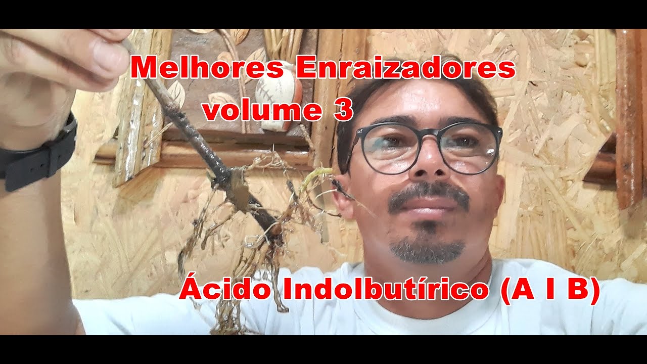 Melhores Enraizadores, VOL 3 (&Aacute;cido Indolbut&iacute;rico AIB) Horm&ocirc;nio Enraizador