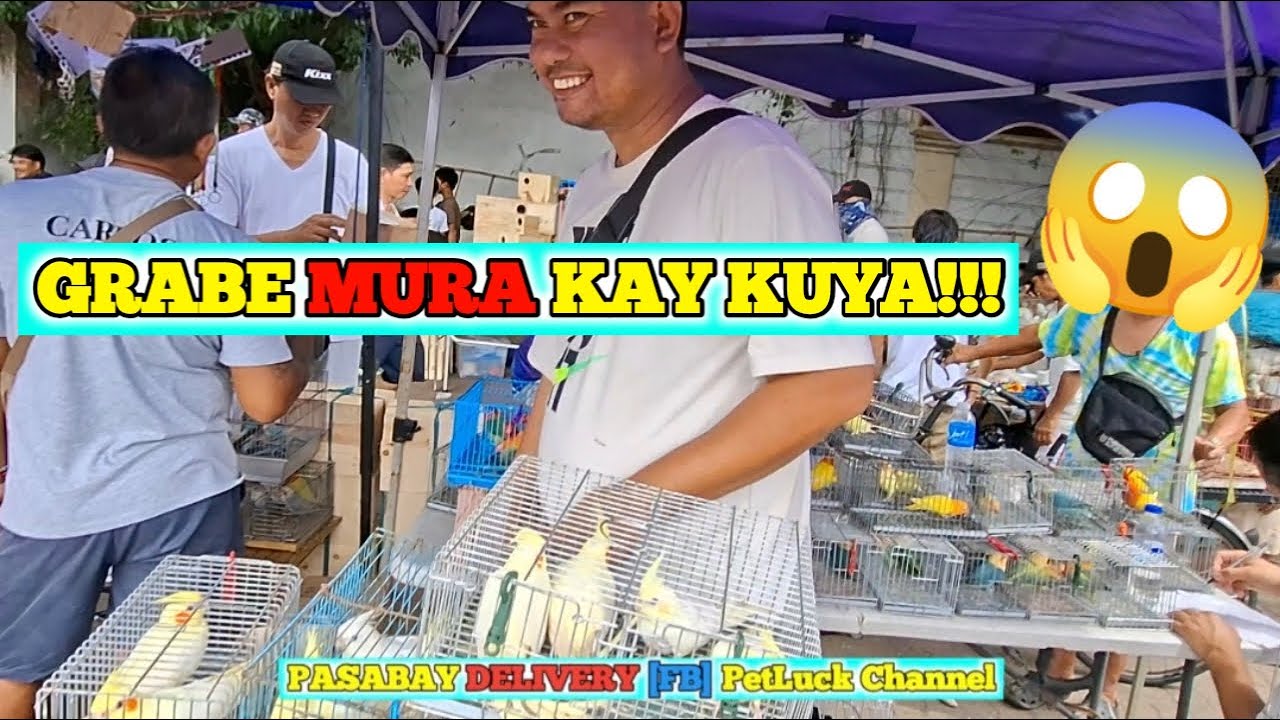 LOVEBIRDS SUPER SALE SA HULONG DUHAT MALABON