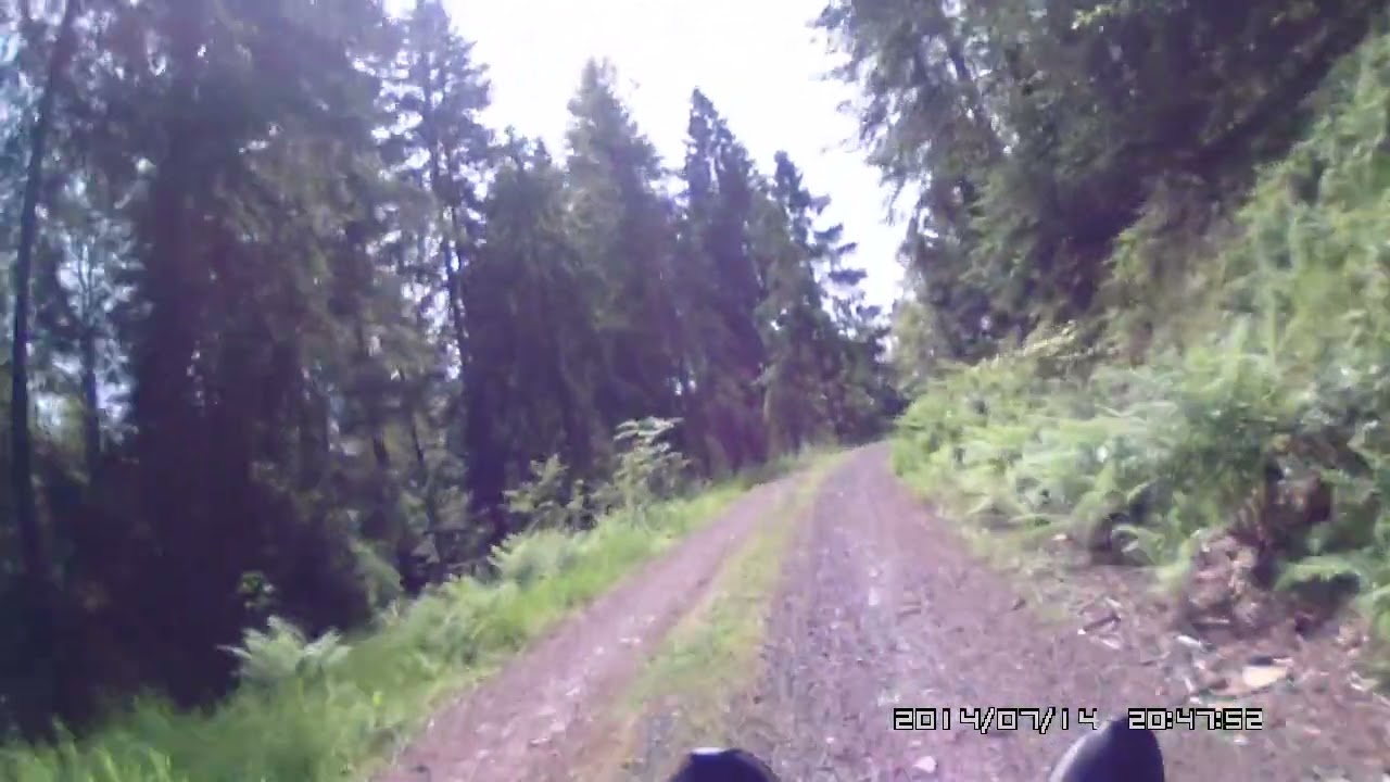 Schwarzwald bei Todtmoos