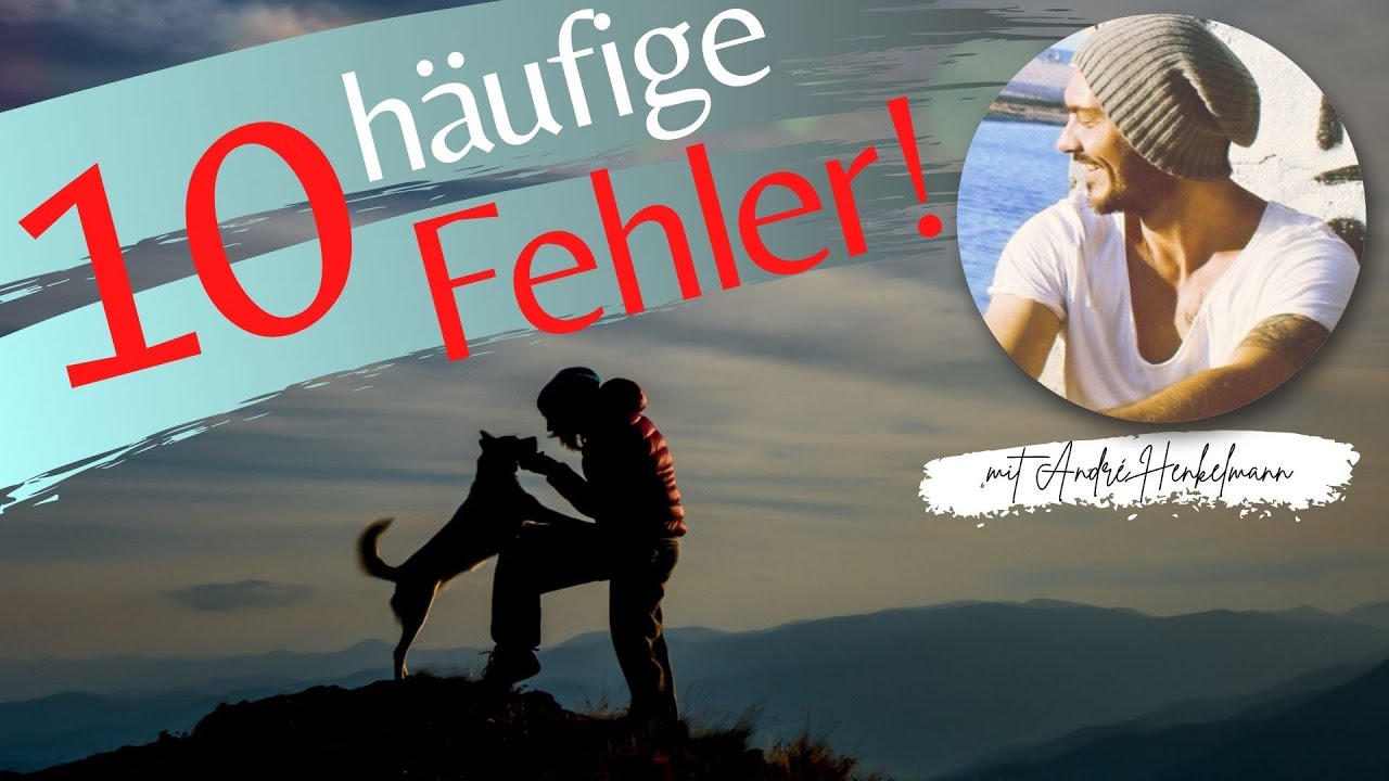 Die 10 häufigsten Trainingsfehler und wie du sie vermeidest! Hundeerziehung/Profi-Tipps!
